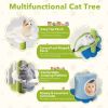 Indoor Cat Tower with Sisal Covered Scratching Posts